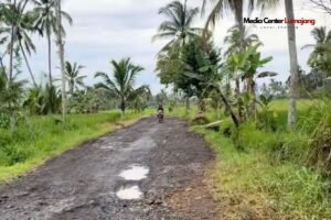 Bupati Lumajang Segera Perbaiki Jalan di Tawonsongo Pasrujambe dan Tumpeng-Kertosari