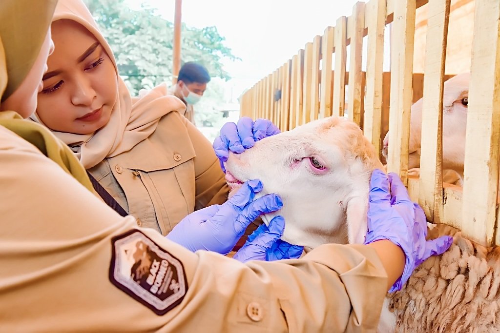 Jelang Iduladha 1446 H, Pemkab Lumajang Pastikan Hewan Kurban Sehat dan Aman