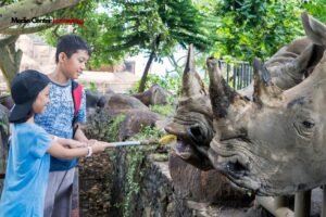 5 Kota di Jawa Timur yang Cocok untuk Liburan Anak Sekolah