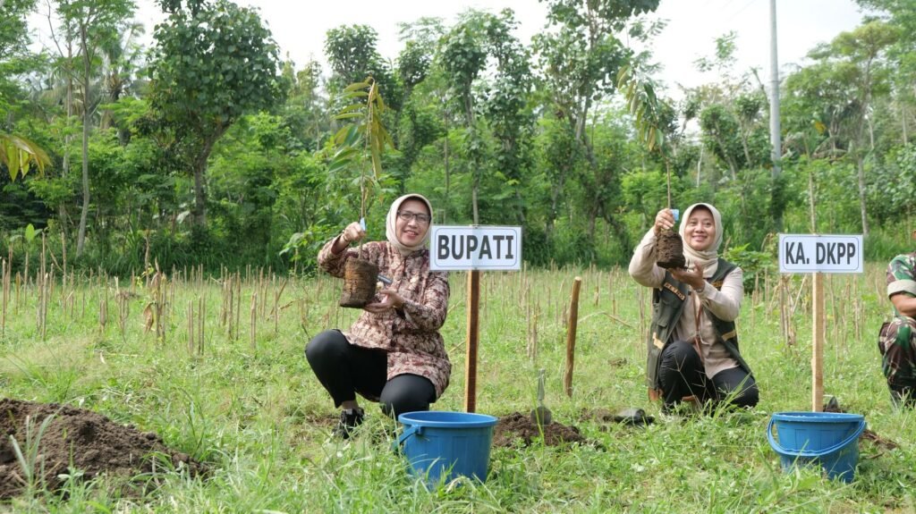 Bupati Lumajang Serahkan 4.095 Bibit Durian Montong untuk Tingkatkan Ekonomi Desa