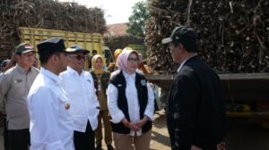 Mentan Dukung Pengembangan Tebu Rakyat di Lumajang, Targetkan Produksi Gula Nasional Naik