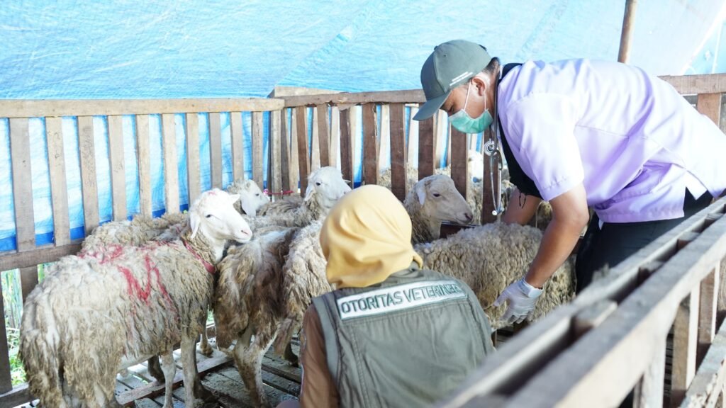 Jelang Iduladha, Dinas Ketahanan Pangan Lumajang Cek Kesehatan Hewan Kurban di Sejumlah Lapak