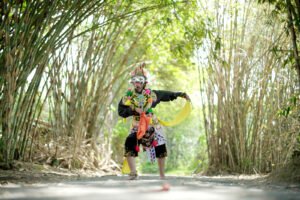 Asal Usul dan Keunikan Hutan Bambu Lumajang yang Jarang Diketahui