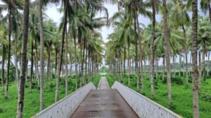 5 Tempat Liburan Lumajang untuk Anak Sekolah