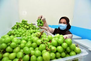 MBG Bikin Siswa Lumajang Kurangi Jajan, Lebih Paham Makanan Sehat