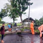Dinas Lingkungan Hidup Lumajang Ajak Masyarakat Tingkatkan Kesadaran Lingkungan