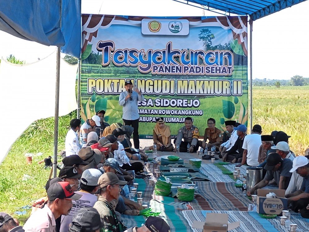 Poktan Ngudi Makmur II Sidorejo Gelar Tasyakuran Panen Padi Sehat, Dorong Pertanian Berkelanjutan