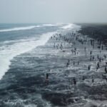 Pemkab Lumajang Jadikan Kebersihan Pantai Investasi Ekonomi Jangka Panjang