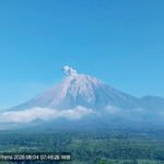 Semeru Erupsi Lagi Pagi Ini Semburkan Abu 700 Meter, BPBD Lumajang: Status Masih Siaga, Warga Jangan Panik