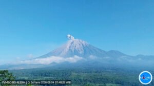 Semeru Erupsi Lagi Pagi Ini Semburkan Abu 700 Meter, BPBD Lumajang: Status Masih Siaga, Warga Jangan Panik
