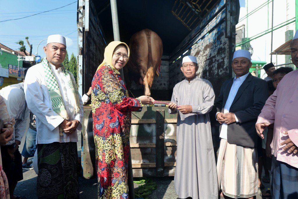 Sapi "Kang Jo" 1,2 Ton Milik Warga Lumajang Terpilih Jadi Hewan Kurban Presiden Prabowo
