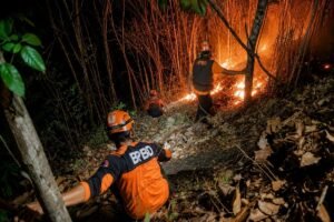 Padam dalam Dua Jam, Tim Gabungan Berhasil Jinakkan Kebakaran Hutan di Pasirian