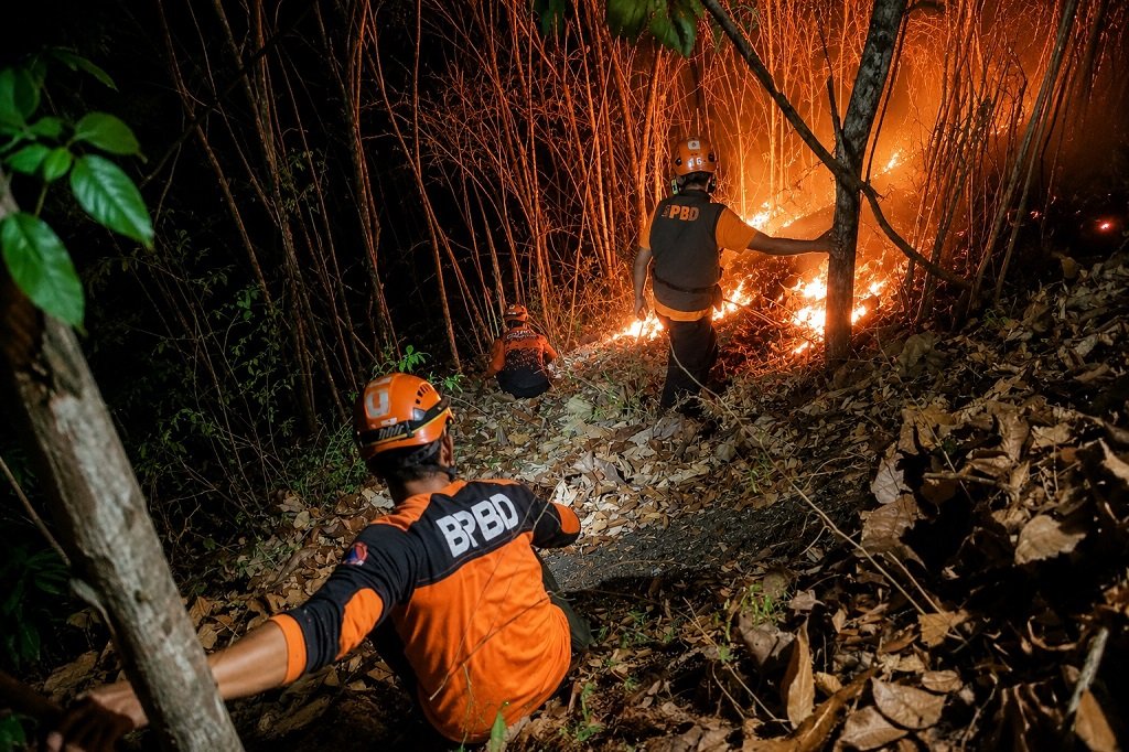 Padam dalam Dua Jam, Tim Gabungan Berhasil Jinakkan Kebakaran Hutan di Pasirian