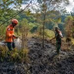 Api di Bukit Sentong Ranupani Padam, BPBD Lumajang Imbau Warga Waspadai Bara Susulan