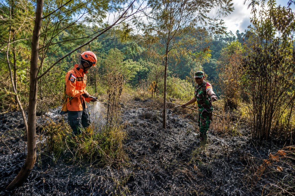 Api di Bukit Sentong Ranupani Padam, BPBD Lumajang Imbau Warga Waspadai Bara Susulan