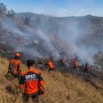 Kebakaran Meluas, Akses Wisata Bromo Via Senduro Lumajang Ditutup Sementara