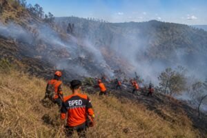 Kebakaran Meluas, Akses Wisata Bromo Via Senduro Lumajang Ditutup Sementara