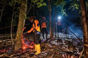 Karhutla Gunung Lemongan Berhasil Dipadamkan, BPBD Lumajang Imbau Warga Waspadai Titik Api