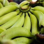 Masa Panen Singkat 8–11 Bulan, HKTI Lumajang Dorong Petani Optimalkan Budidaya Pisang Cavendish