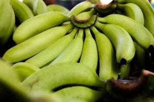 Masa Panen Singkat 8–11 Bulan, HKTI Lumajang Dorong Petani Optimalkan Budidaya Pisang Cavendish