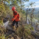 Padam Total Usai Diguyur Hujan dan TMC, Kebakaran TNBTS Lumajang Hanguskan 1.807 Hektare