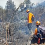 Titik Api Baru Karhutla Semeru Berjarak 1 Km dari Pemukiman, BPBD Minta Warga Ranupane Waspada