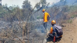 Titik Api Baru Karhutla Semeru Berjarak 1 Km dari Pemukiman, BPBD Minta Warga Ranupane Waspada