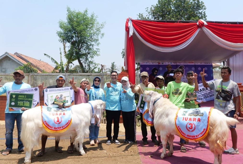 Dorong Regenerasi Peternak Muda, Pemkab Lumajang Gelar Kontes dan Pameran Ternak 2026 di KWT