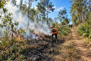 Kebakaran Hutan Argosari Berjarak 3 Km dari Permukiman, Petugas Buat Sekat Bakar