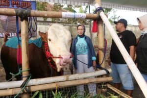 Sedot 574 Ekor Ternak, Bupati Lumajang Buka Kembali Kontes dan Pameran Ternak di KWT